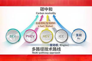 记者：今日津门虎全队训练前，于根伟向球队介绍准新援孔帕尼奥